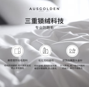 AusGolden 澳洲100%纯羊毛A类夏被 被芯210*150cm