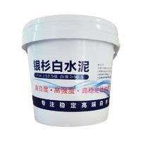 防水防霉地面墙面修补膏500g