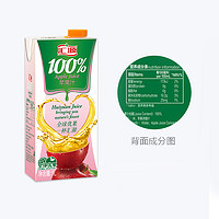 汇源 100%苹果汁1000ml