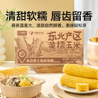 喵满分 东北玉米黄糯鲜食玉米 220g*8穗