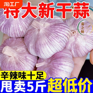 山东金乡紫皮大蒜头干蒜5斤批发2023新鲜祘10斤农家蒜子2/3斤自提