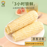 美农哥 东北白甜糯玉米 260g*8支