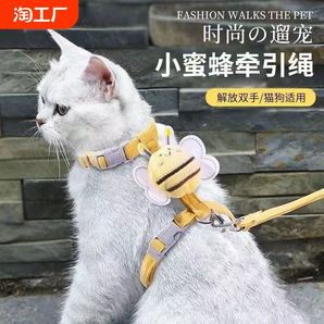 猫咪牵引绳防挣脱外出专用宠物兔子背心遛猫专用溜小猫链子猫绳子