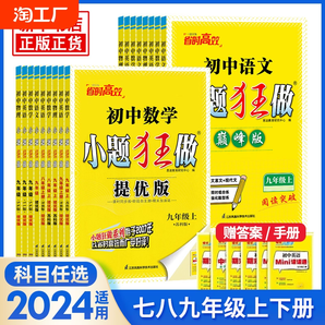 2024秋恩波初中小题狂做语文数学英语物理化学提优版巅峰版七八九年级上册人教译林苏科版江苏版同步课时作业学霸初中必刷题练习册