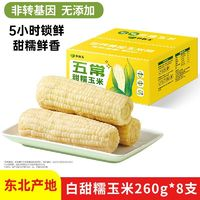 农科玉 白甜糯玉米 260g*8根