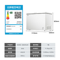 Hisense 海信 BD/BC-300ZNUM 冰柜 300升