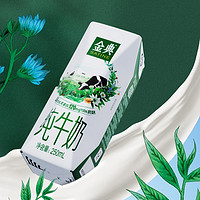 SATINE 金典 3.6g乳蛋白 纯牛奶250ml*16盒