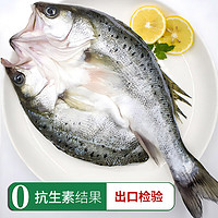 鲜京采 国产三去白蕉海鲈鱼 300g*3条