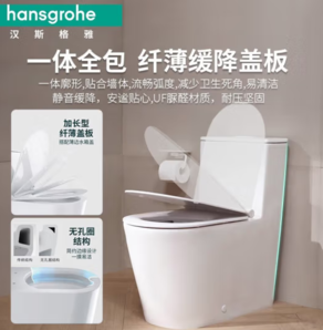 20点！hansgrohe 汉斯格雅 22431/22432 马桶连体坐便器 305mm