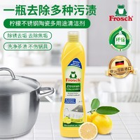 Frosch 福纳丝 不锈钢/陶瓷多用途清洁剂 500ml 柠檬