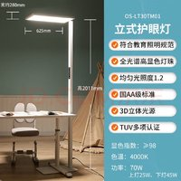 OSRAM 欧司朗 OS-LT30TM01 落地大路灯