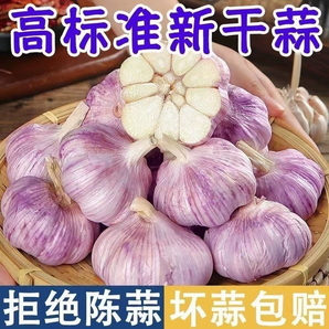 大蒜今年新干蒜大蒜头5斤干河南批发新鲜蔬菜紫皮大蒜农家自种