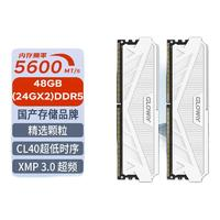 GLOWAY 光威 天策系列 DDR5 5600 台式机内存条 48GB套装