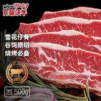 WOWBEEF 万馨沃牛 美国精选choice级原切谷饲雪花牛仔骨500g 带骨牛小排烧烤牛肉