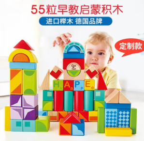 Hape 木质大颗粒积木 55粒