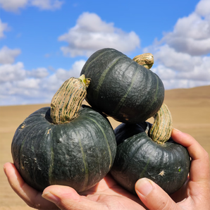 秦品堂正宗贝贝南瓜板栗味小南瓜新鲜蔬菜软糯香甜轻食减脂餐老少皆宜 【彩箱装】甄选贝贝南瓜 5斤