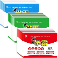 《2024秋版小学学霸提优大试卷》